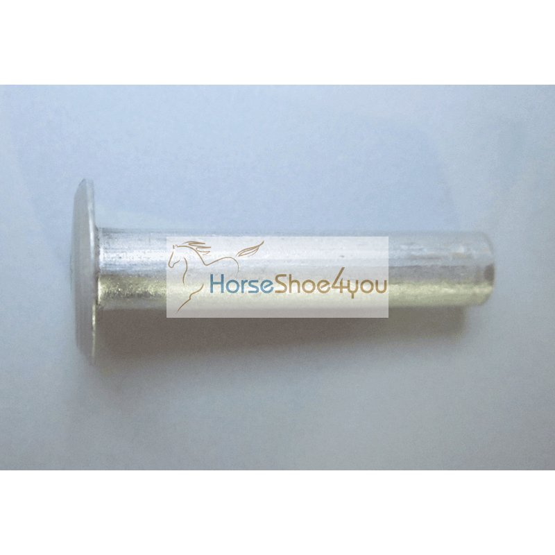 https://www.horseshoe4you.at/media/image/product/1223/lg/aluminium-nieten-4x20-100-stk.jpg