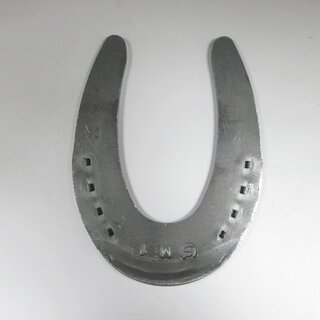 Slidingeisen Double S Slider Futurity 1� SM Gr. 2 (33x6)