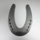 Slidingeisen Double S Slider Futurity 1� SM Gr. 2 (33x6)